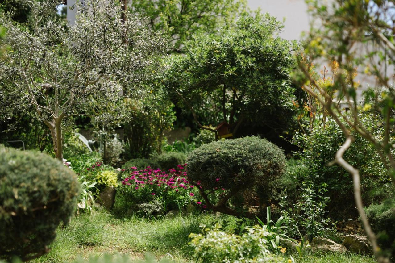 Apartment N&T Pula Dış mekan fotoğraf